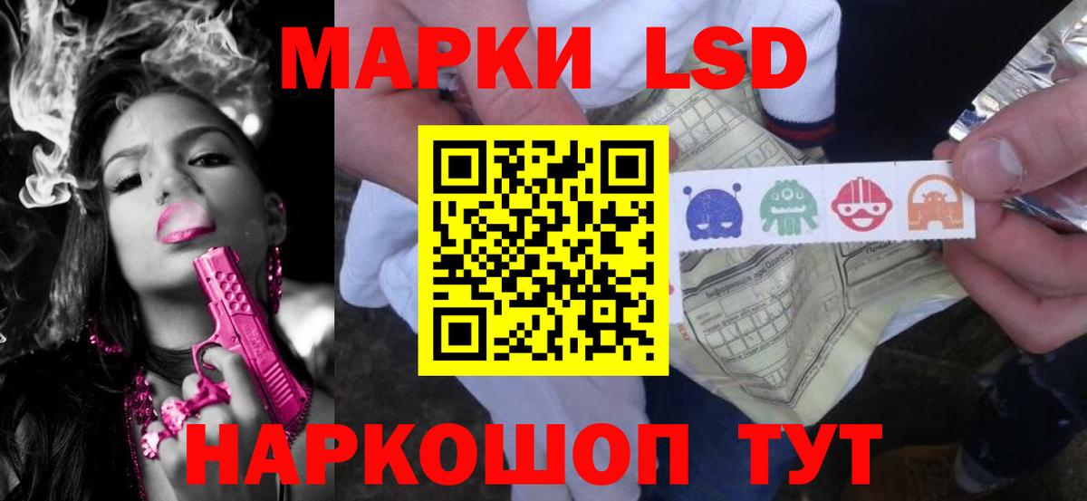 Бошки Шишки Краснознаменск