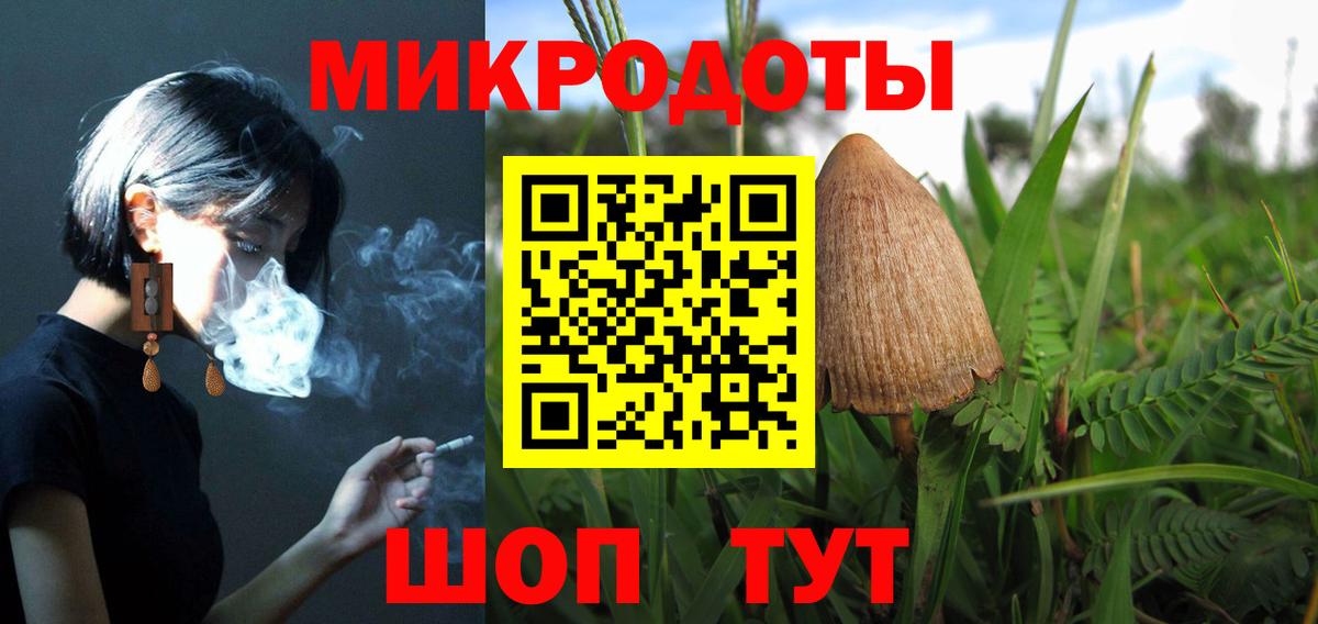 Галлюциногенные грибы Psilocybe Краснознаменск